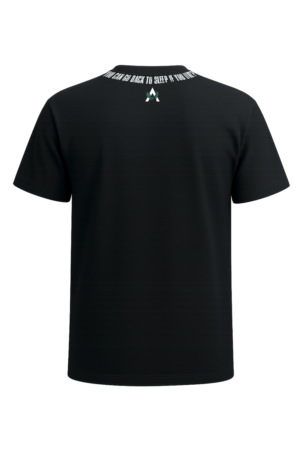 You Can Go Back To Sleep - V1